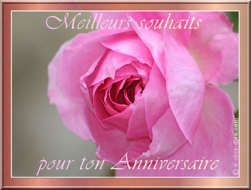 Bon Anniversaire Mamy42 Le Forum Des Cerclosophes